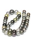 Collier Maupiti perle de tahiti multi couleurs 10-13mm qualité AAA