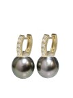 Boucles d'oreilles Revea perle de tahiti 8-9mm AAA or