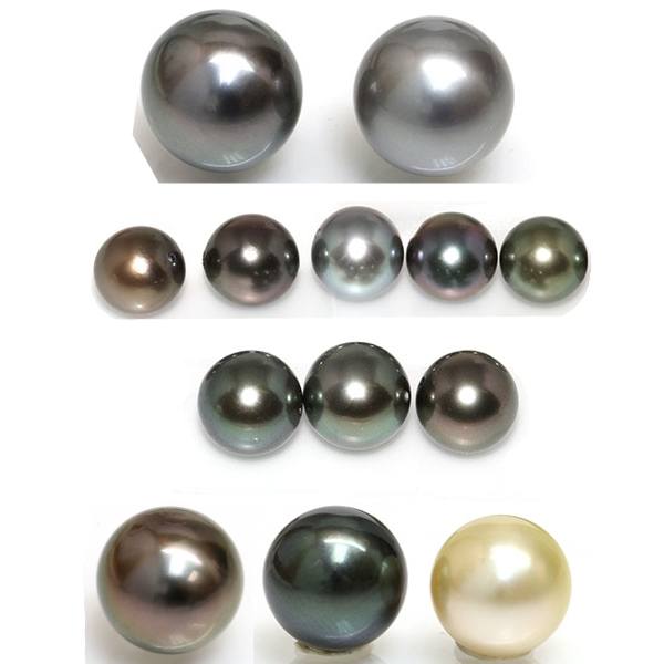 couleurs nuances perles de tahiti