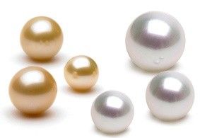 Perles d'australie couleurs