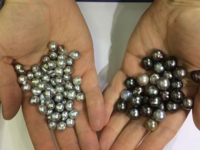 L’Anniversaire des 60 ans de la création des perles de Tahiti !