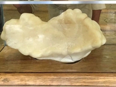 La plus grosse perle du monde Perle de Puerto