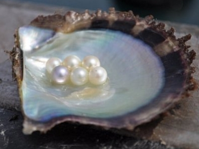 La formation des perles