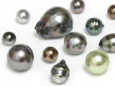 Pourquoi les perles de Tahiti sont noires ?